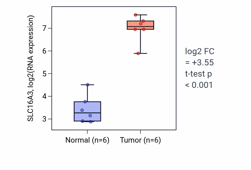 Tumor-vs-normal expression box plot for SLC16A3 RNA in KIRC.