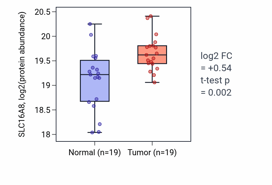 Tumor-vs-normal mass-spec protein box plot for SLC16A8 in COAD.
