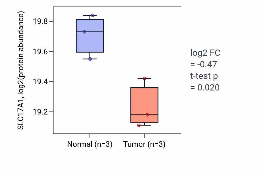 Tumor-vs-normal mass-spec protein box plot for SLC17A1 in CCRCC.