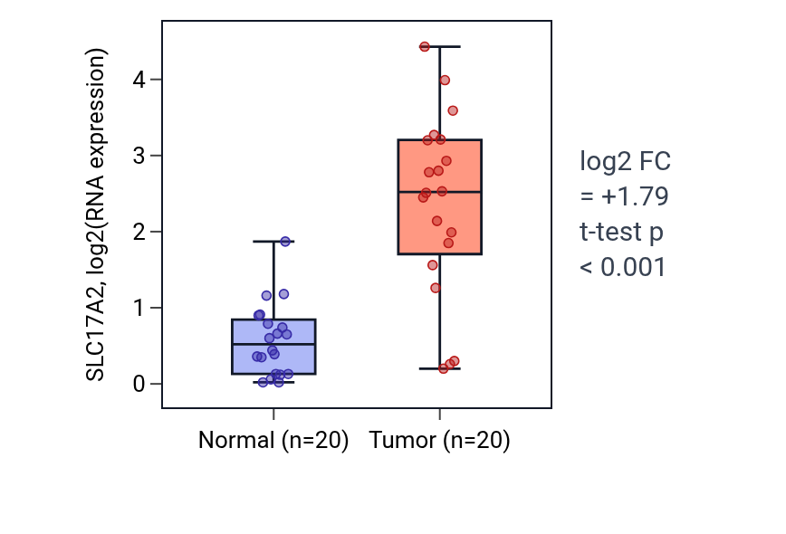 Tumor-vs-normal expression box plot for SLC17A2 in KIRC.