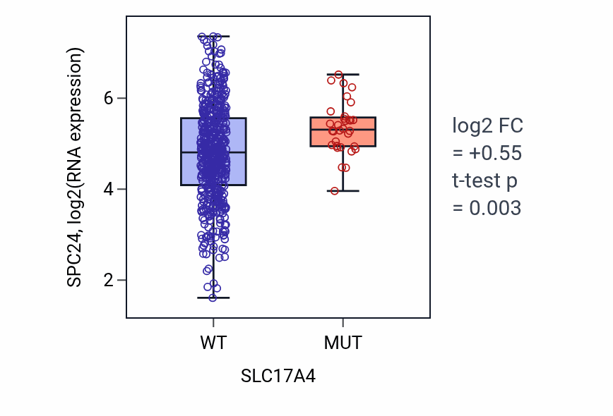 Box plot of SPC24 in SLC17A4-low vs SLC17A4-high samples in UCEC.