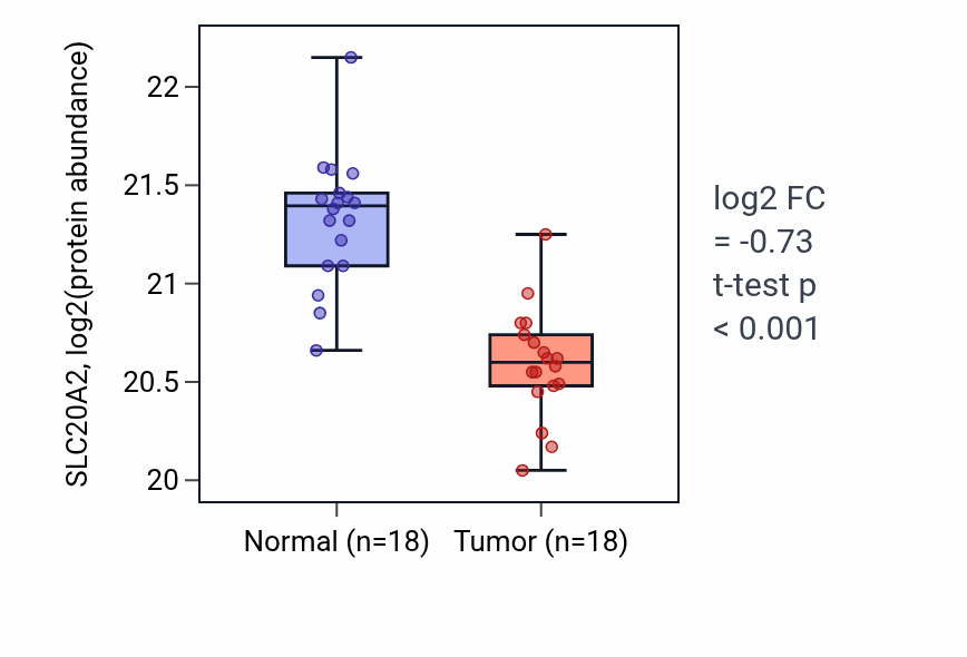 Tumor-vs-normal mass-spec protein box plot for SLC20A2 in CCRCC.