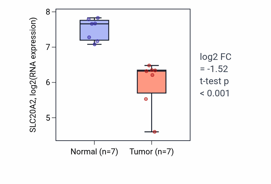Tumor-vs-normal expression box plot for SLC20A2 RNA in THCA.