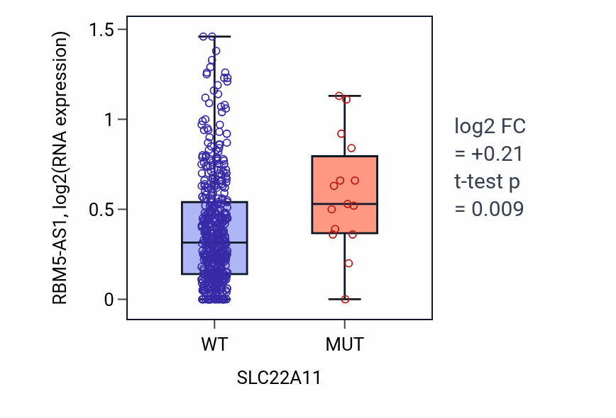 Box plot of RBM5-AS1 in SLC22A11-low vs SLC22A11-high samples in SKCM.