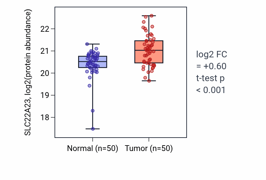 Tumor-vs-normal mass-spec protein box plot for SLC22A23 in LSCC.