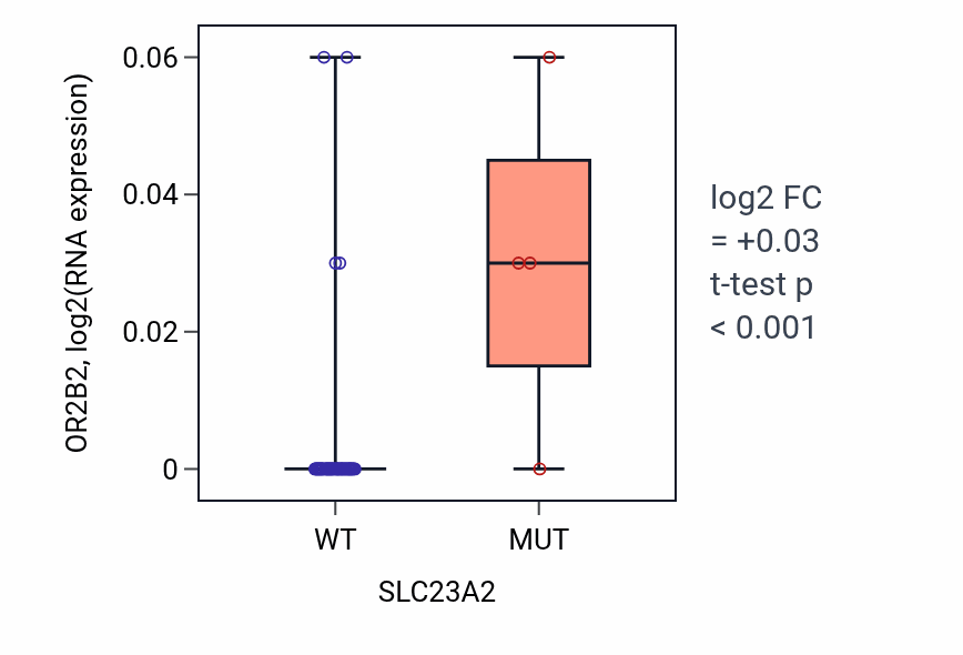 Box plot of OR2B2 in SLC23A2-low vs SLC23A2-high samples in SKIN.