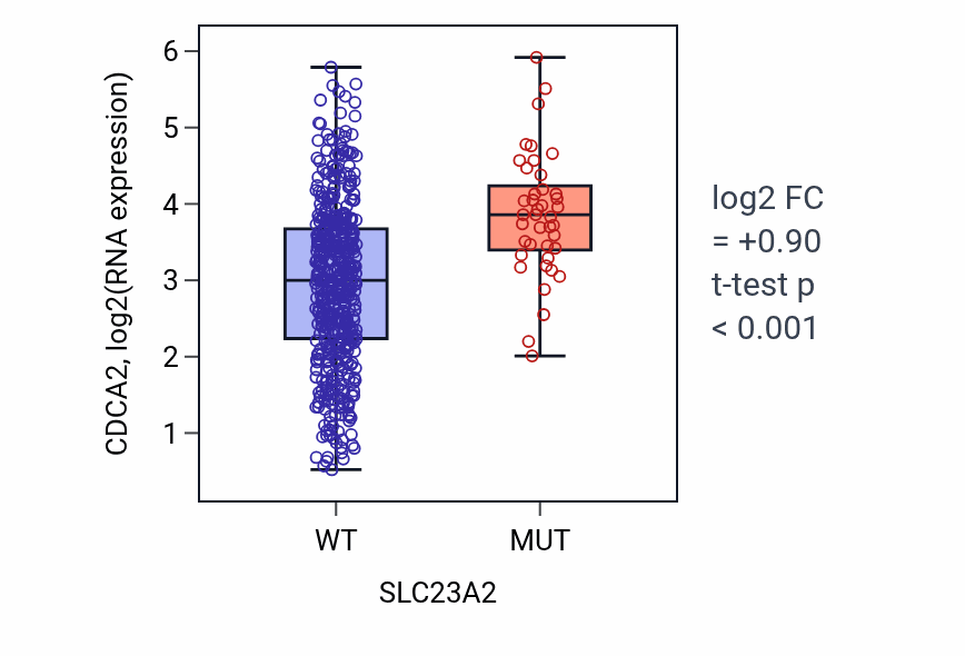 Box plot of CDCA2 in SLC23A2-low vs SLC23A2-high samples in UCEC.