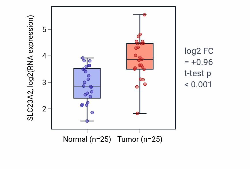 Tumor-vs-normal expression box plot for SLC23A2 RNA in HNSC.