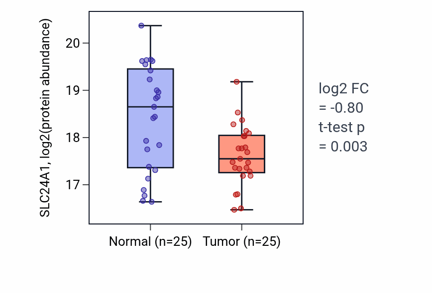 Tumor-vs-normal mass-spec protein box plot for SLC24A1 in HNSC.