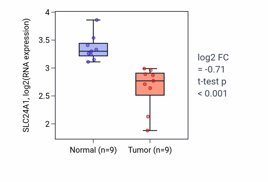 Tumor-vs-normal expression box plot for SLC24A1 RNA in THCA.