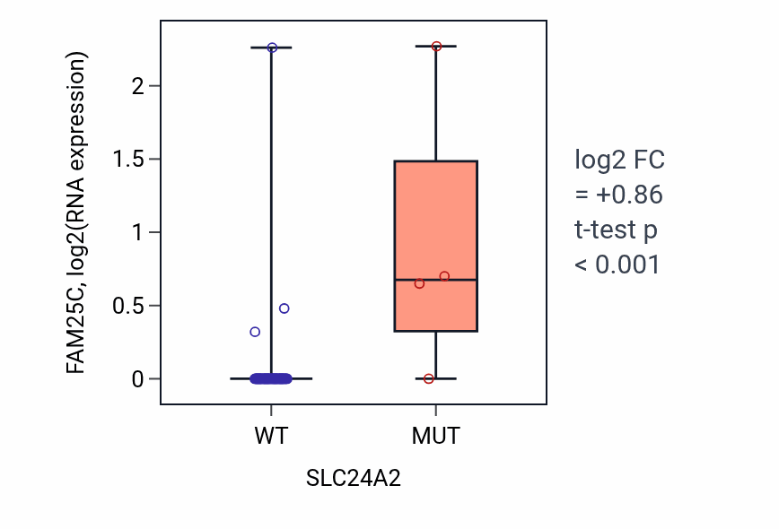 Box plot of FAM25C in SLC24A2-low vs SLC24A2-high samples in SKIN.