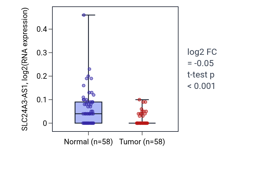 Tumor-vs-normal expression box plot for SLC24A3-AS1 in THCA.