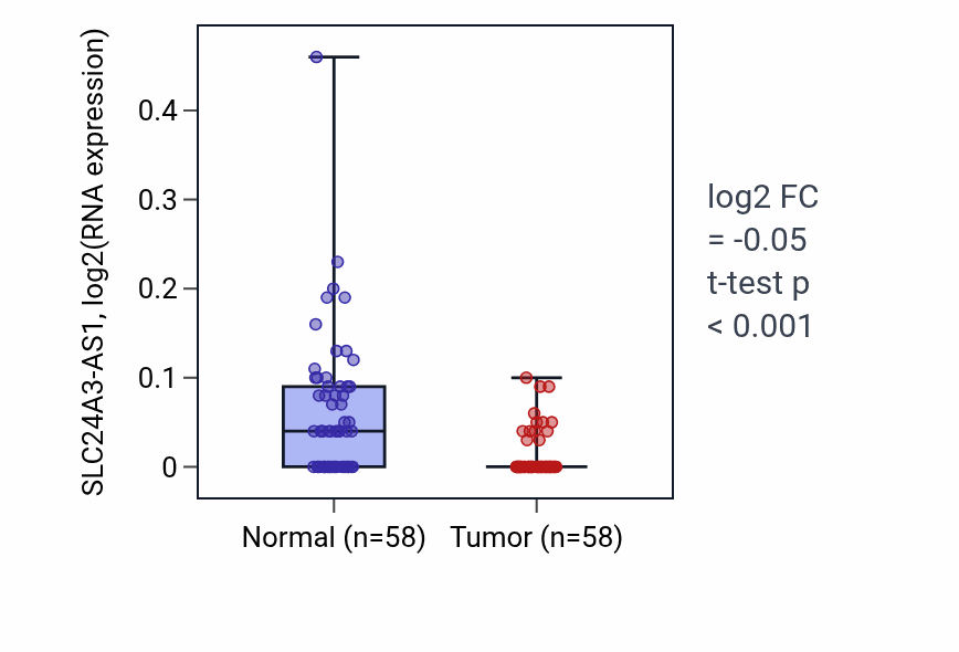 Tumor-vs-normal expression box plot for SLC24A3-AS1 RNA in THCA.