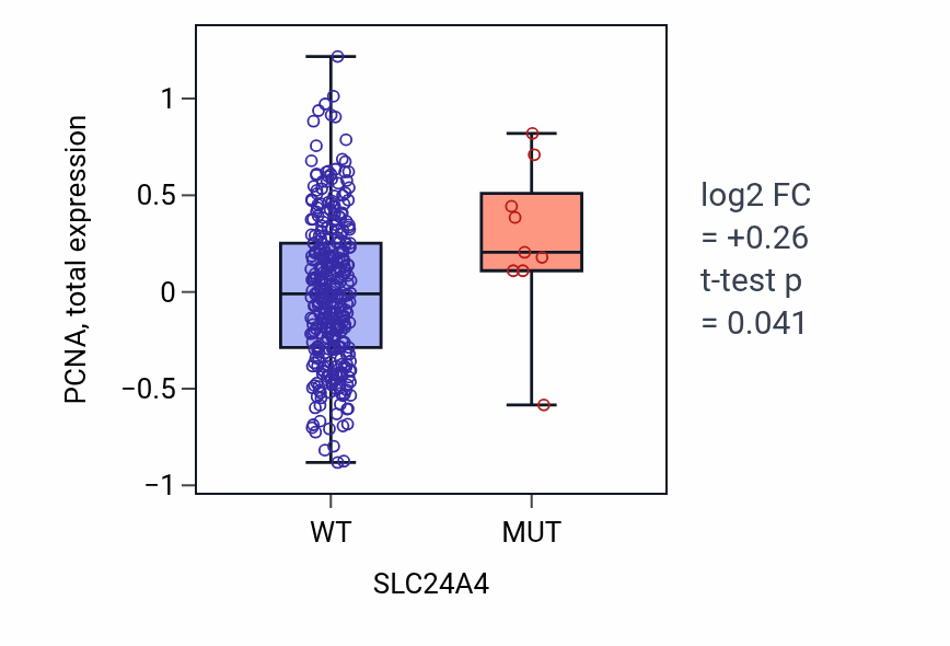 Box plot of PCNA in SLC24A4-low vs SLC24A4-high samples in COAD.