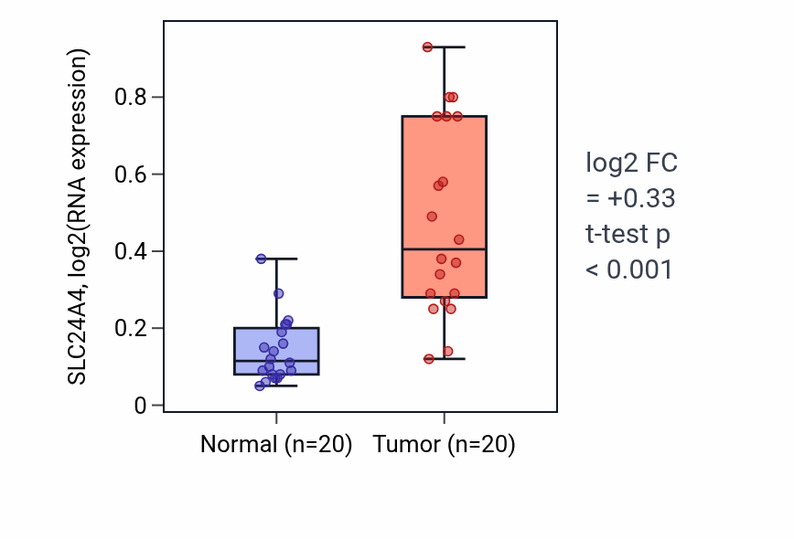 Tumor-vs-normal expression box plot for SLC24A4 RNA in KIRC.