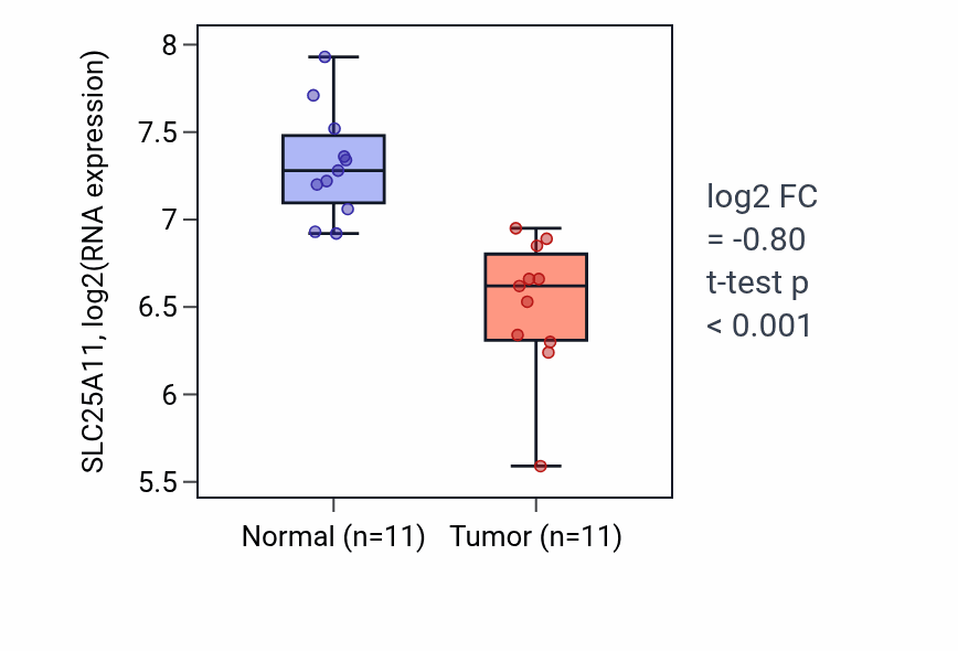 Tumor-vs-normal expression box plot for SLC25A11 RNA in KICH.