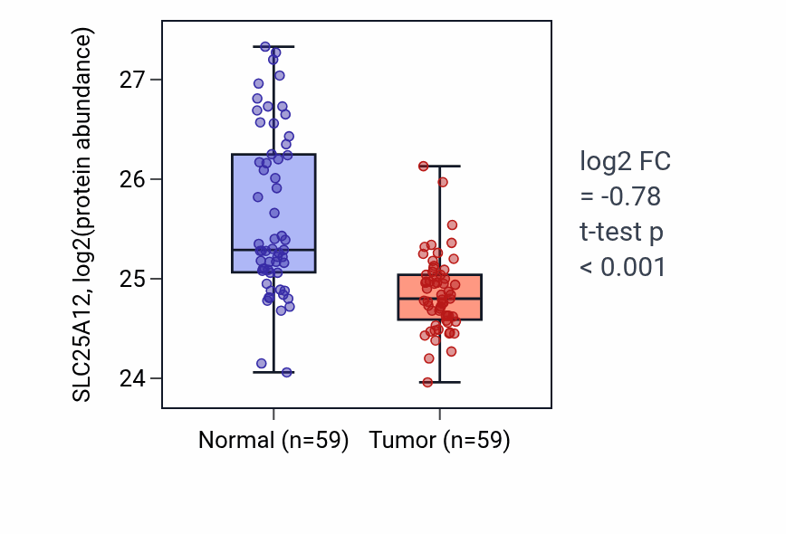 Tumor-vs-normal mass-spec protein box plot for SLC25A12 in HNSC.