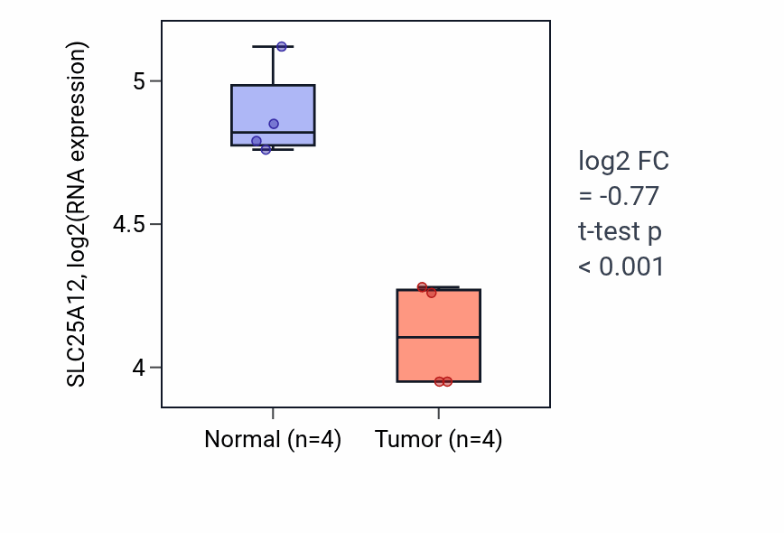 Tumor-vs-normal expression box plot for SLC25A12 RNA in THCA.