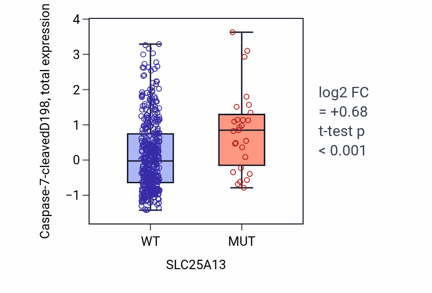 Box plot of Caspase-7-cleavedD198 in SLC25A13-low vs SLC25A13-high samples in UCEC.