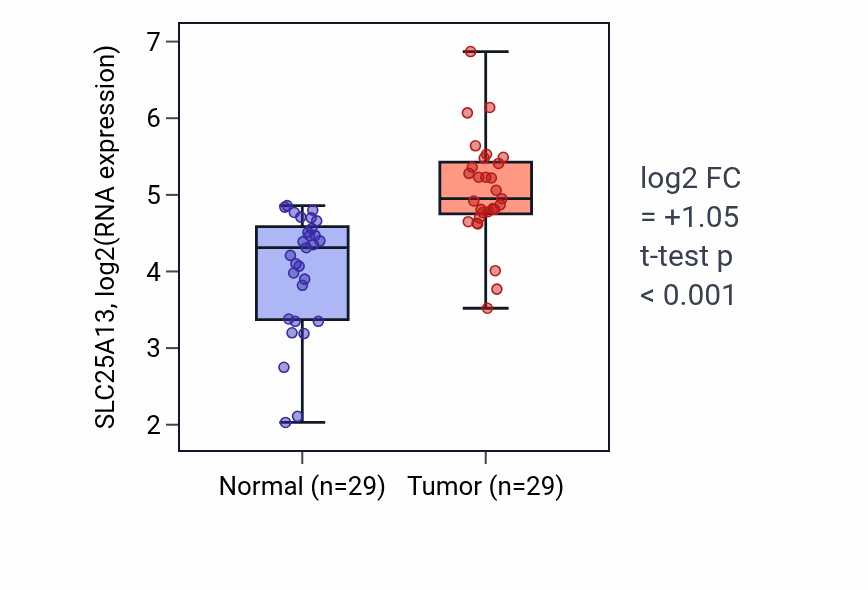 Tumor-vs-normal expression box plot for SLC25A13 RNA in HNSC.