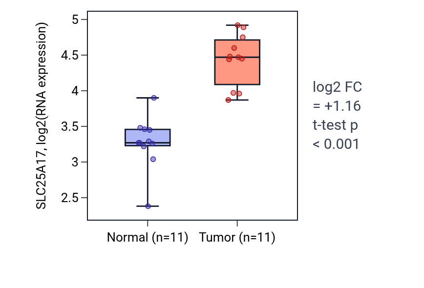 Tumor-vs-normal expression box plot for SLC25A17 in HNSC.