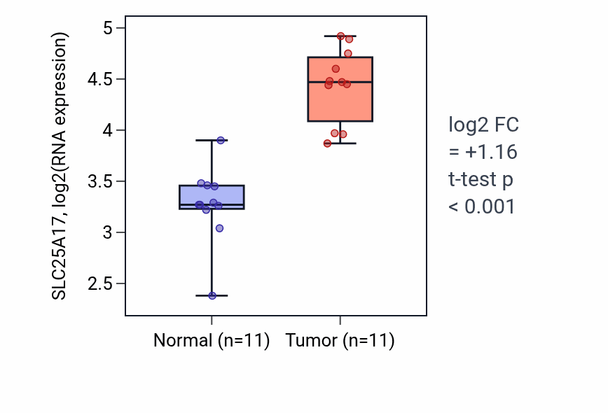 Tumor-vs-normal expression box plot for SLC25A17 RNA in HNSC.