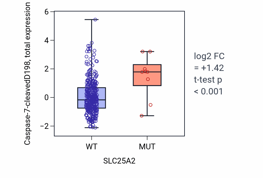 Box plot of Caspase-7-cleavedD198 in SLC25A2-low vs SLC25A2-high samples in COAD.
