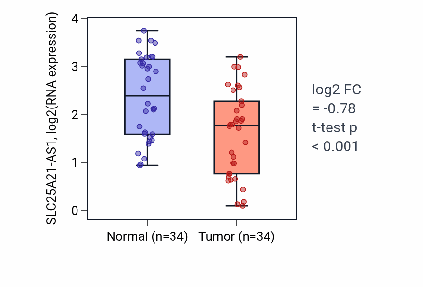 Tumor-vs-normal expression box plot for SLC25A21-AS1 RNA in KIRC.