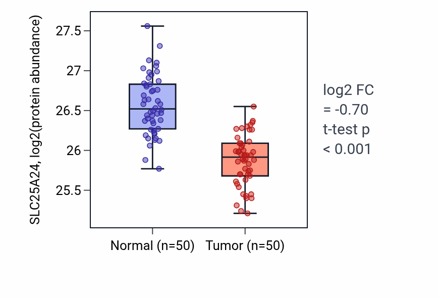 Tumor-vs-normal mass-spec protein box plot for SLC25A24 in LSCC.