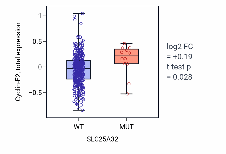 Box plot of Cyclin-E2 in SLC25A32-low vs SLC25A32-high samples in UCEC.