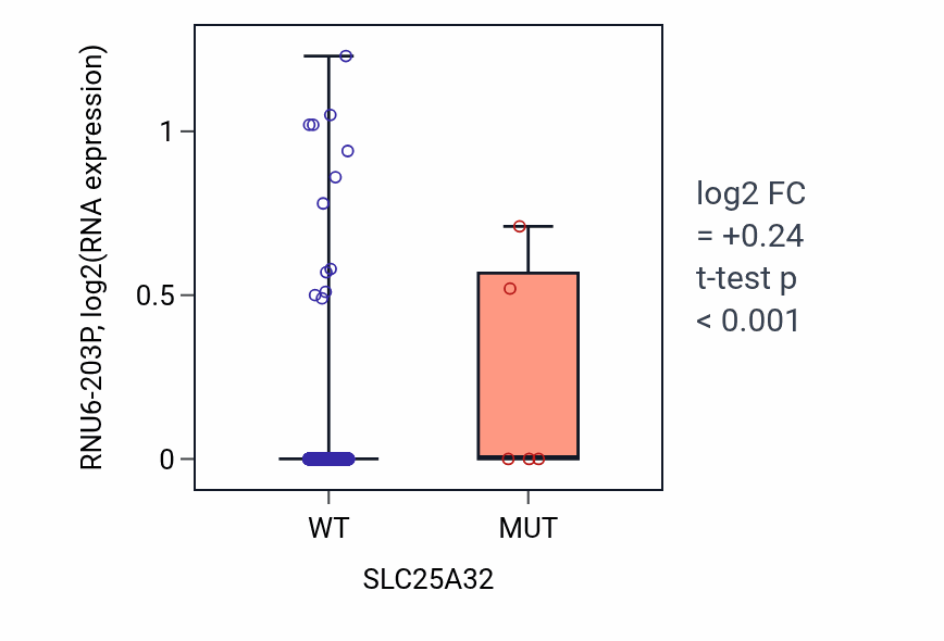 Box plot of RNU6-203P in SLC25A32-low vs SLC25A32-high samples in BRCA.