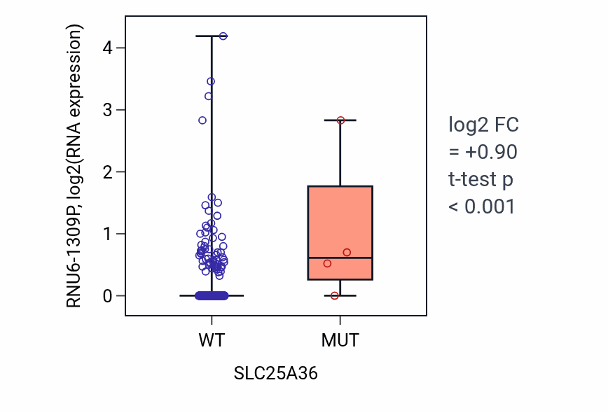 Box plot of RNU6-1309P in SLC25A36-low vs SLC25A36-high samples in LUAD.