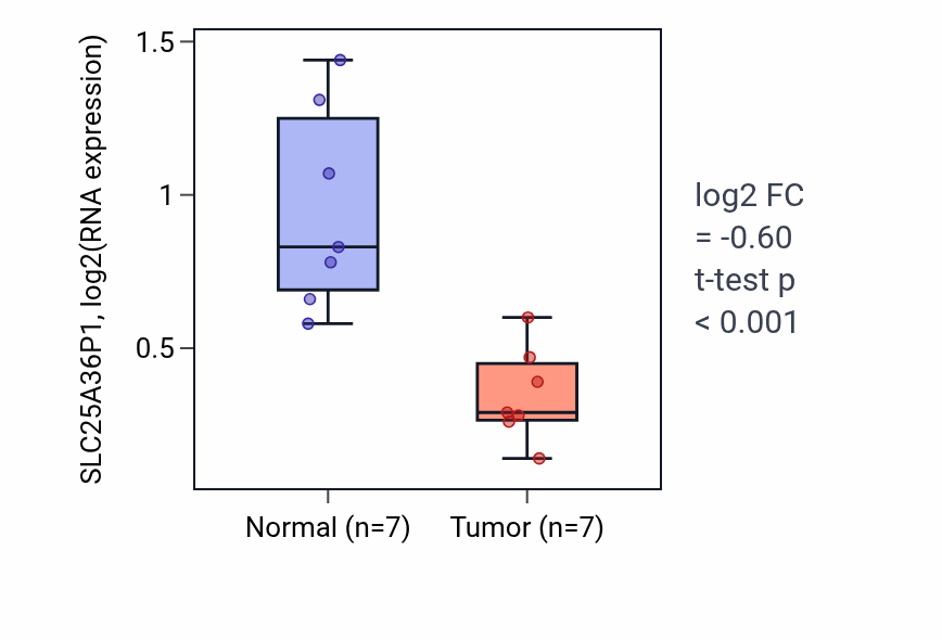 Tumor-vs-normal expression box plot for SLC25A36P1 RNA in THCA.