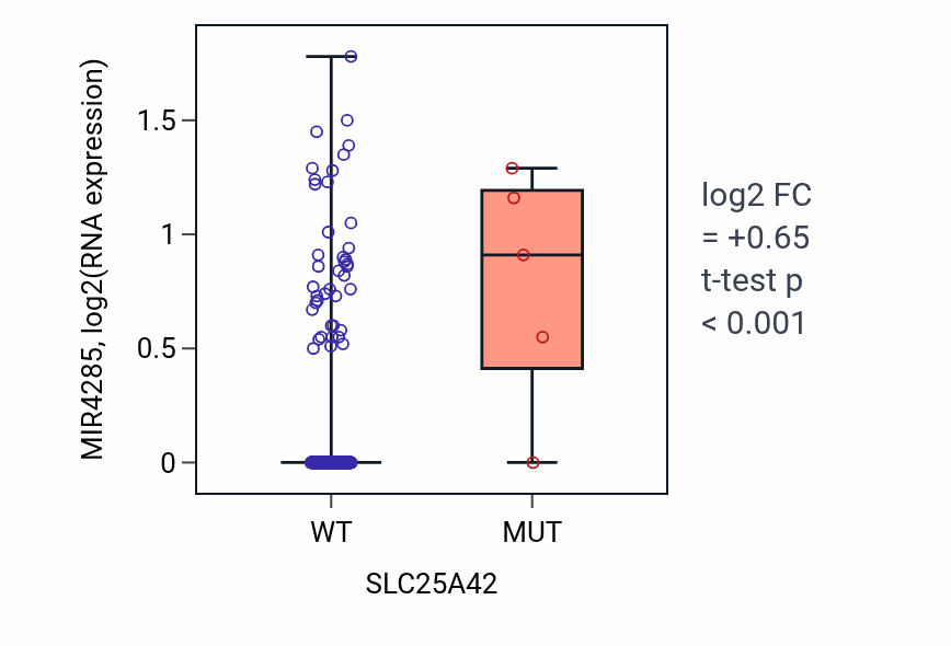 Box plot of MIR4285 in SLC25A42-low vs SLC25A42-high samples in CESC.