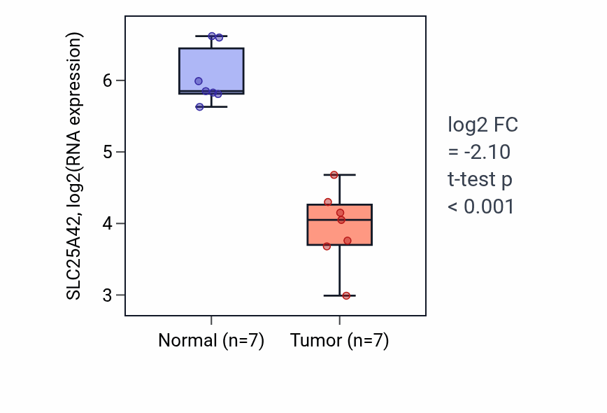 Tumor-vs-normal expression box plot for SLC25A42 RNA in THCA.