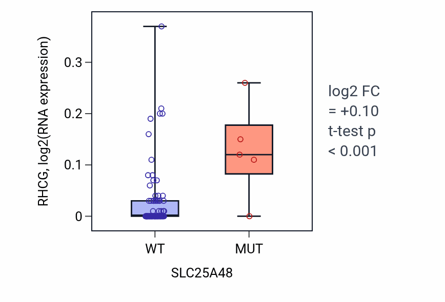 Box plot of RHCG in SLC25A48-low vs SLC25A48-high samples in BLOOD_Leukemia.