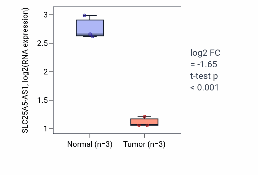 Tumor-vs-normal expression box plot for SLC25A5-AS1 in THCA.