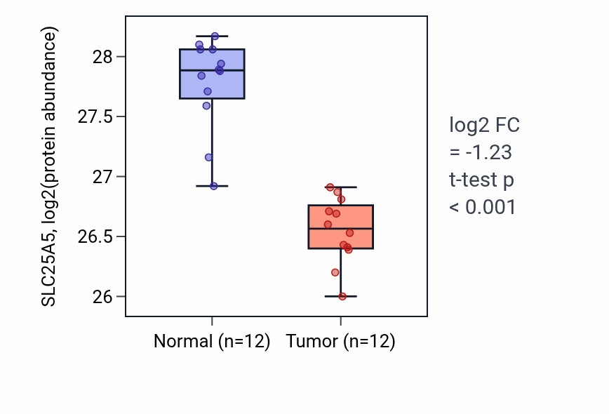 Tumor-vs-normal mass-spec protein box plot for SLC25A5 in CCRCC.