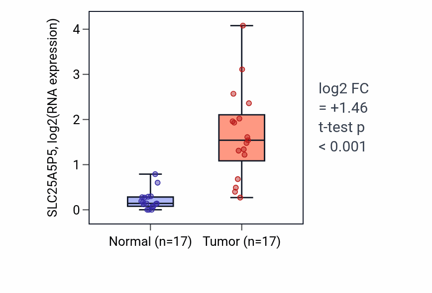 Tumor-vs-normal expression box plot for SLC25A5P5 in HNSC.