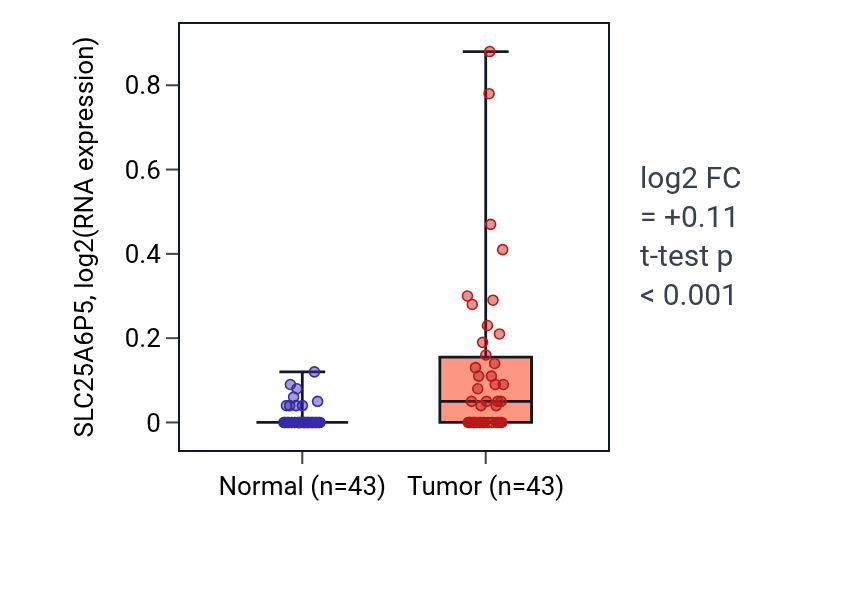 Tumor-vs-normal expression box plot for SLC25A6P5 in HNSC.