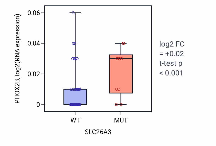Box plot of PHOX2B in SLC26A3-low vs SLC26A3-high samples in BLOOD_Leukemia.