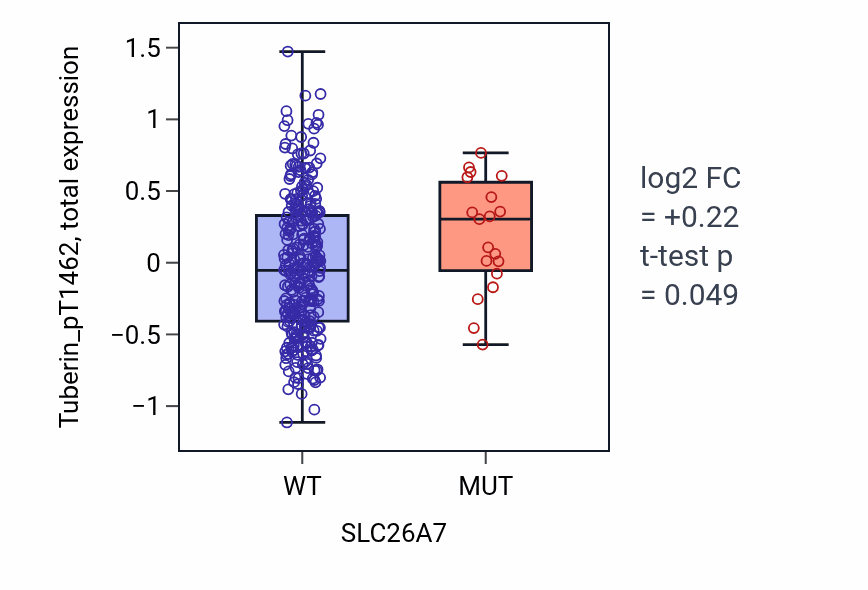 Box plot of Tuberin_pT1462 in SLC26A7-low vs SLC26A7-high samples in SKCM.
