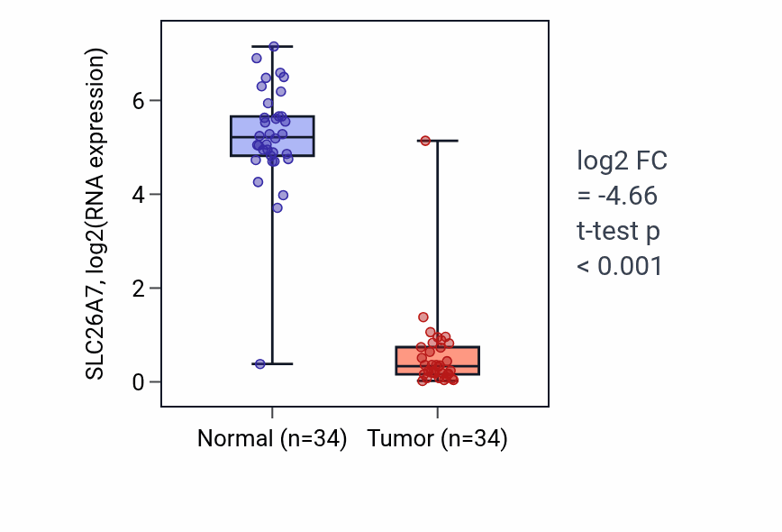 Tumor-vs-normal expression box plot for SLC26A7 RNA in KIRC.