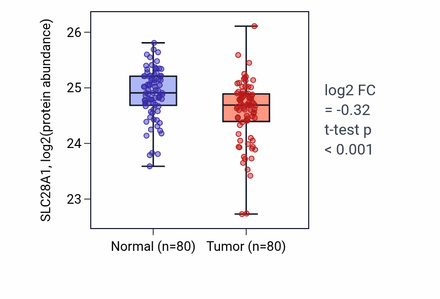 Tumor-vs-normal mass-spec protein box plot for SLC28A1 in CCRCC.