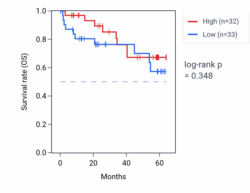 Kaplan&ndash;Meier survival curve for SLC28A1 mass-spec protein-high vs -low samples in CCRCC.