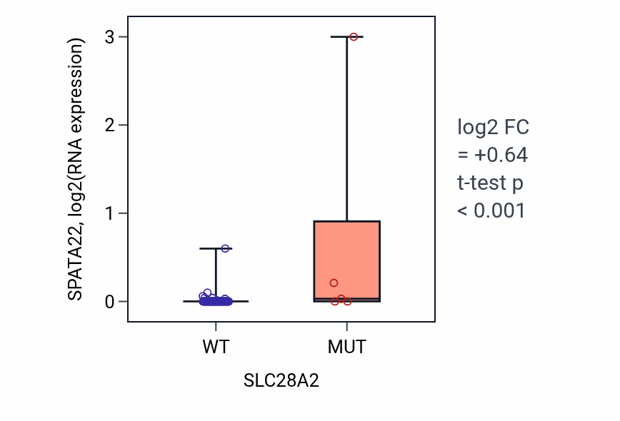 Box plot of SPATA22 in SLC28A2-low vs SLC28A2-high samples in BLOOD_Leukemia.