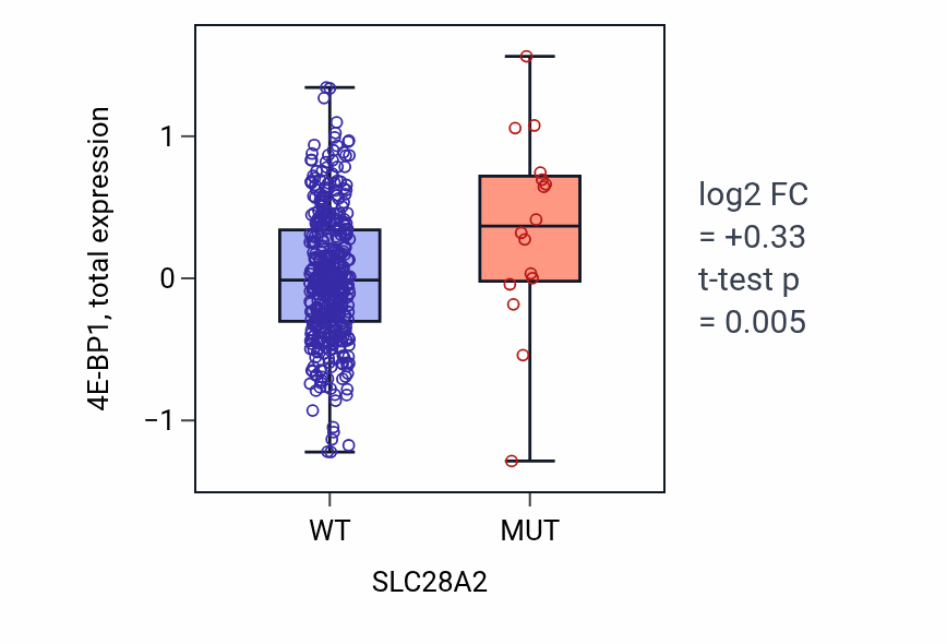 Box plot of 4E-BP1 in SLC28A2-low vs SLC28A2-high samples in UCEC.