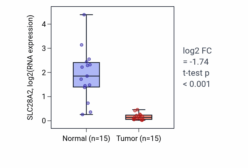 Tumor-vs-normal expression box plot for SLC28A2 RNA in KIRP.