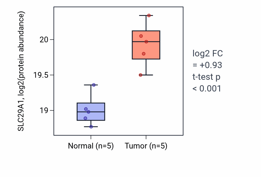 Tumor-vs-normal mass-spec protein box plot for SLC29A1 in CCRCC.
