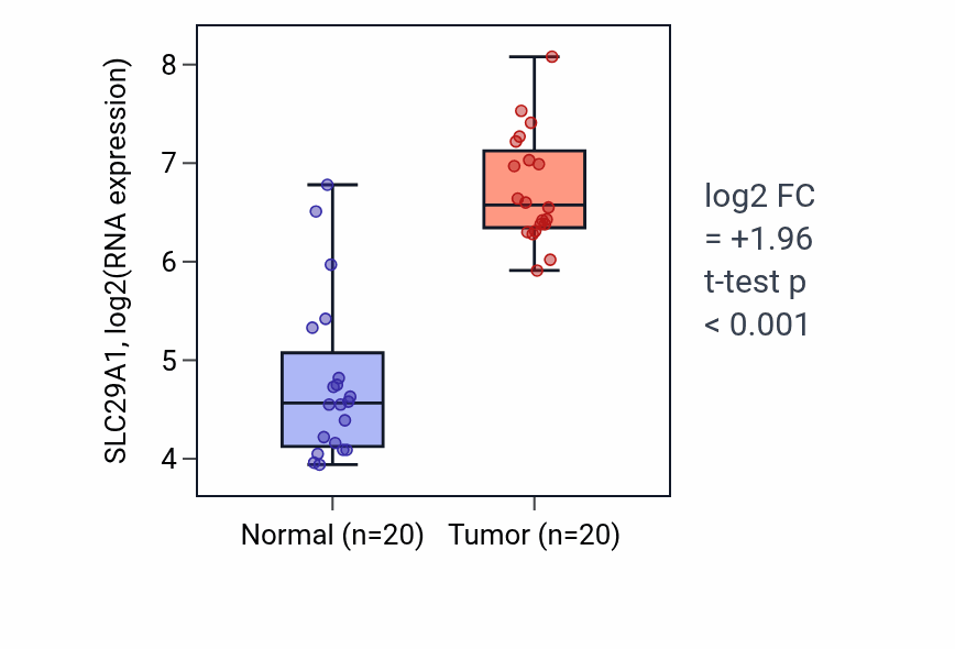 Tumor-vs-normal expression box plot for SLC29A1 RNA in COAD.